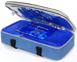California Innovations food carrier recalled due to freezer gel packs